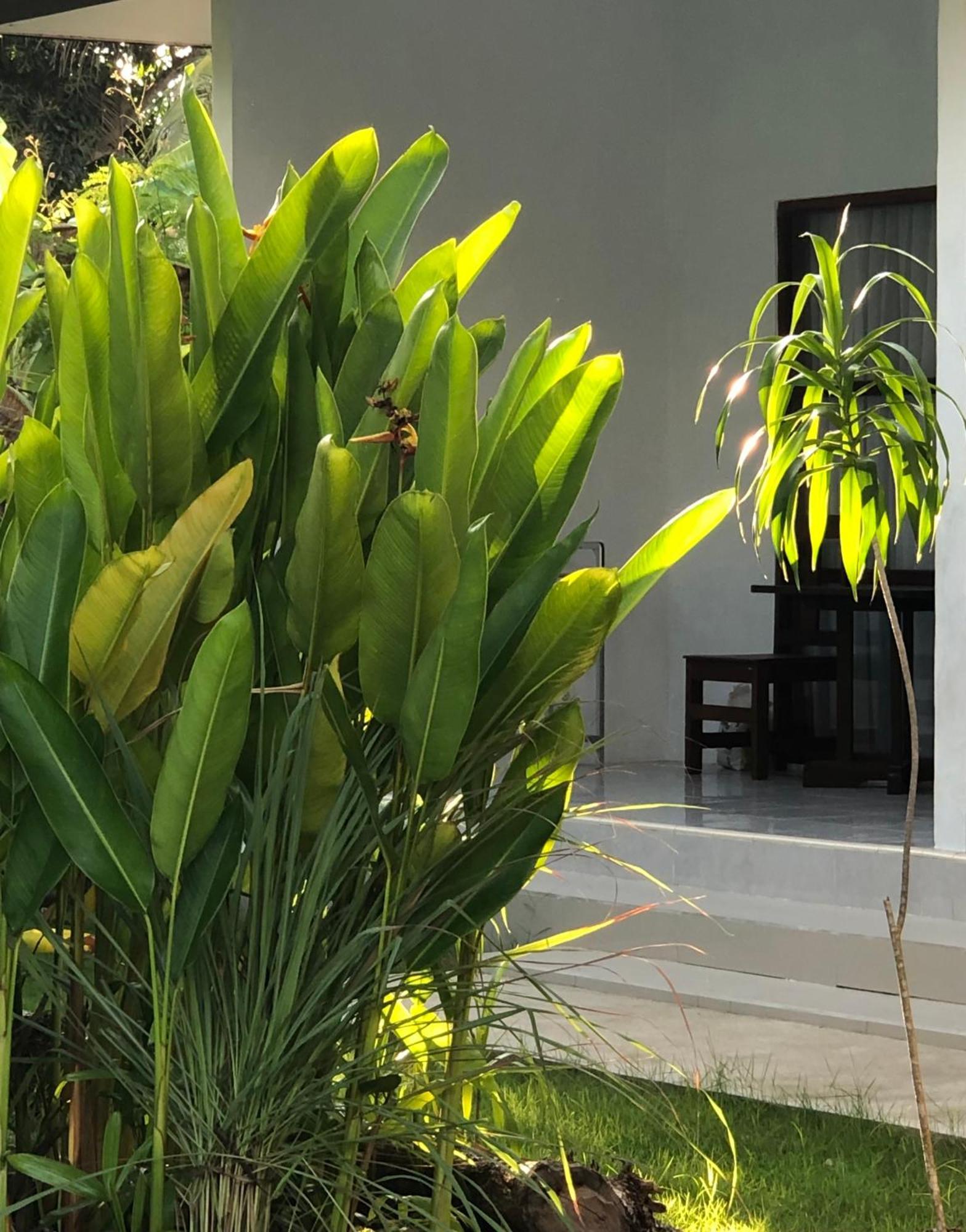 Maha Di Nusa Lembongan Exteriér fotografie